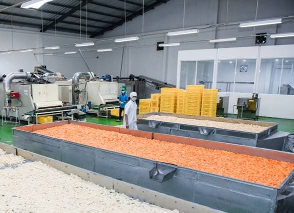 PT Krispi Industri Indonesia production facility
